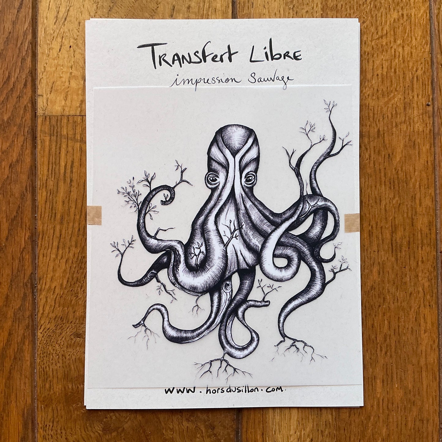 Transfert textile Poulpe