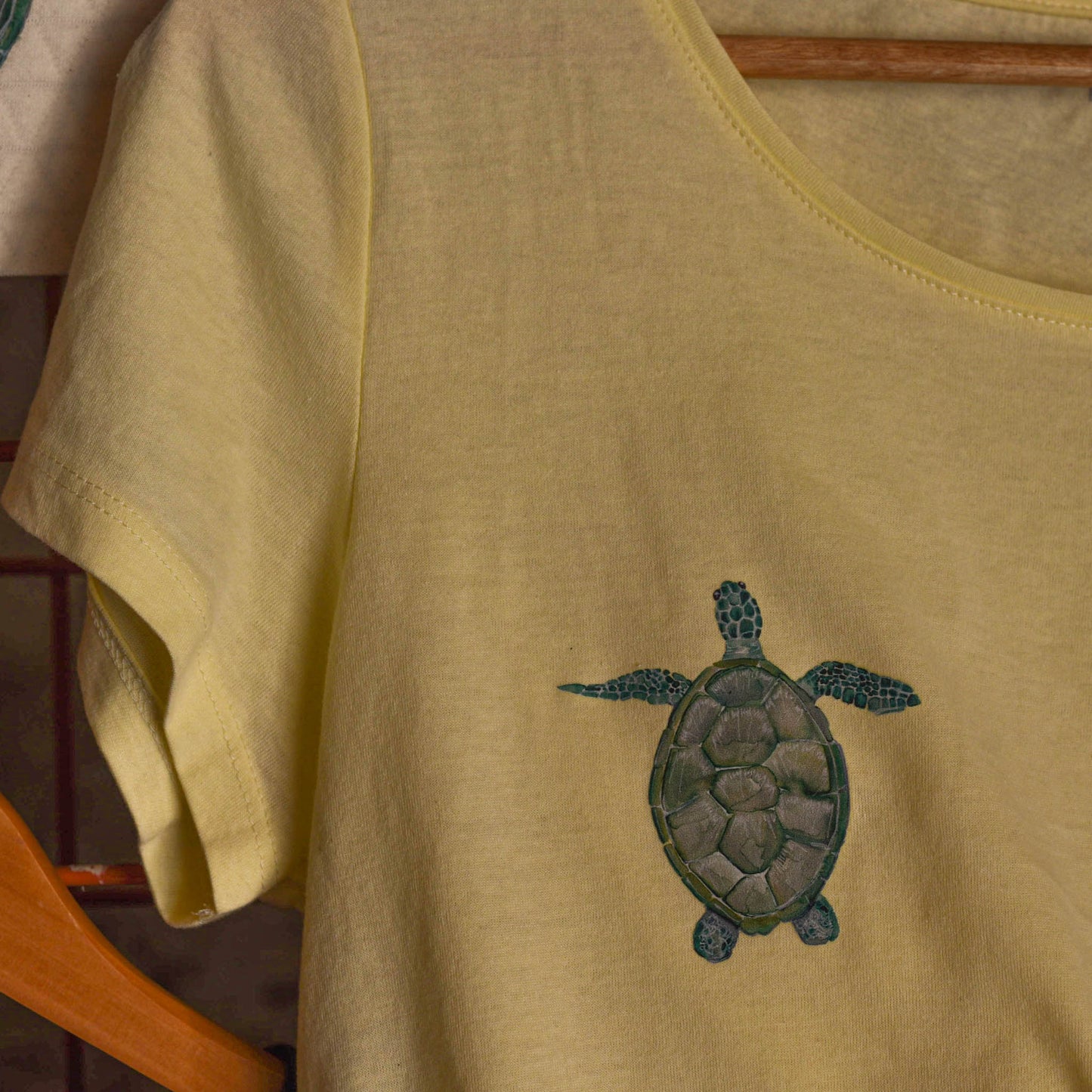 Transfert Tortue
