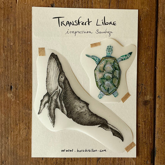 Transfert Baleine