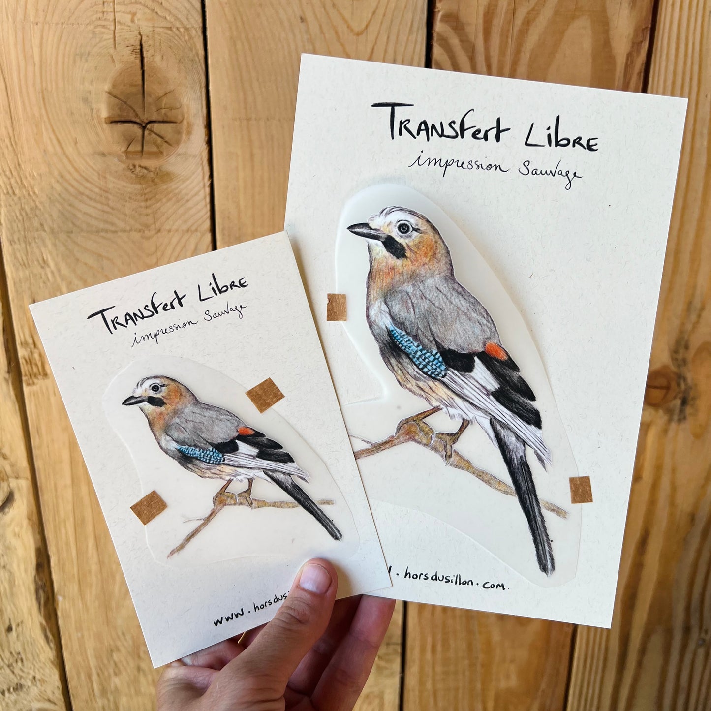 Transfert Libre - Geai